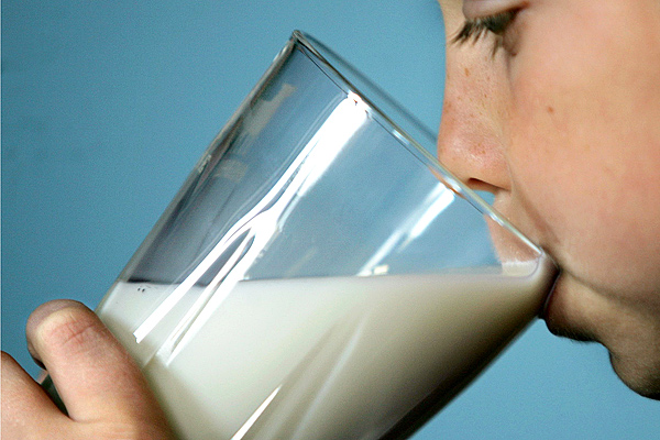В области планируют повысить цены на молоко